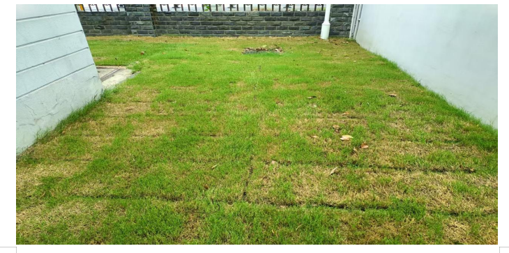 1762479718990164.png image.png