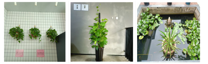 1762479749143857.png image.png