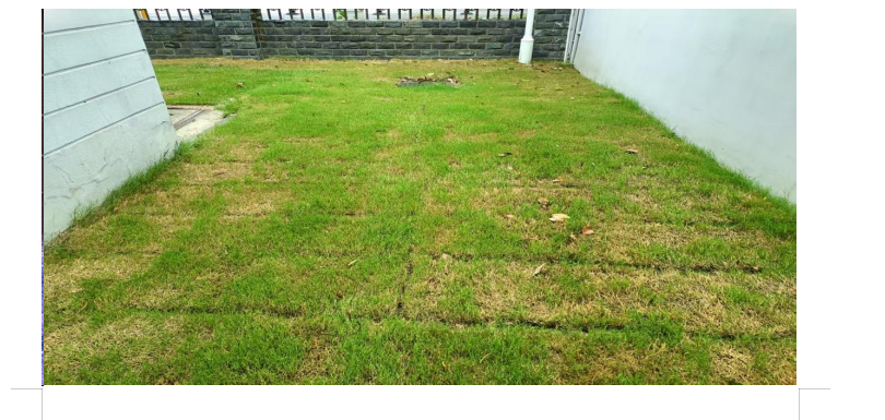 1762479923518673.png image.png