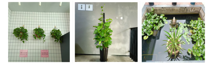 1762479963130286.png image.png